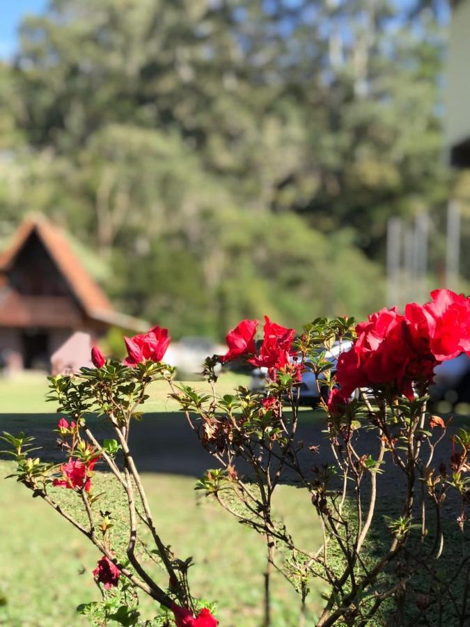 Pousada Guimaraes Hotell Sao Pedro da Serra  Eksteriør bilde